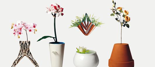 Di_vaso_in_fiore