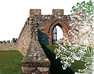fiori-nella-rocca