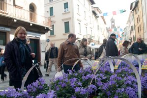 brixia-florum