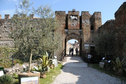 fiori-rocca-2012